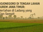 Petani gurem jawa timur