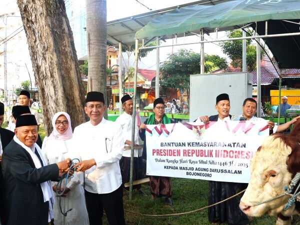 Bupati Bojonegoro Setyo Wahono menyerahkan sapi kurban Idul Adha ke Masjid Agung Darussalam.