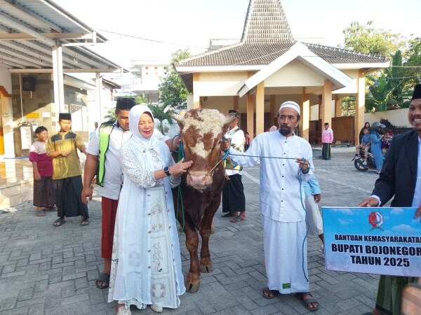 (Wabup Bojonegoro Nurul Azizah Menyerahkan Hewan Kurban kepada Pengurus Masjid Babussofa Bojonegoro