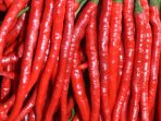 Cabai Merah Besar