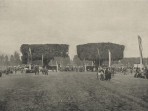 alun-alun jogjakarta 1888