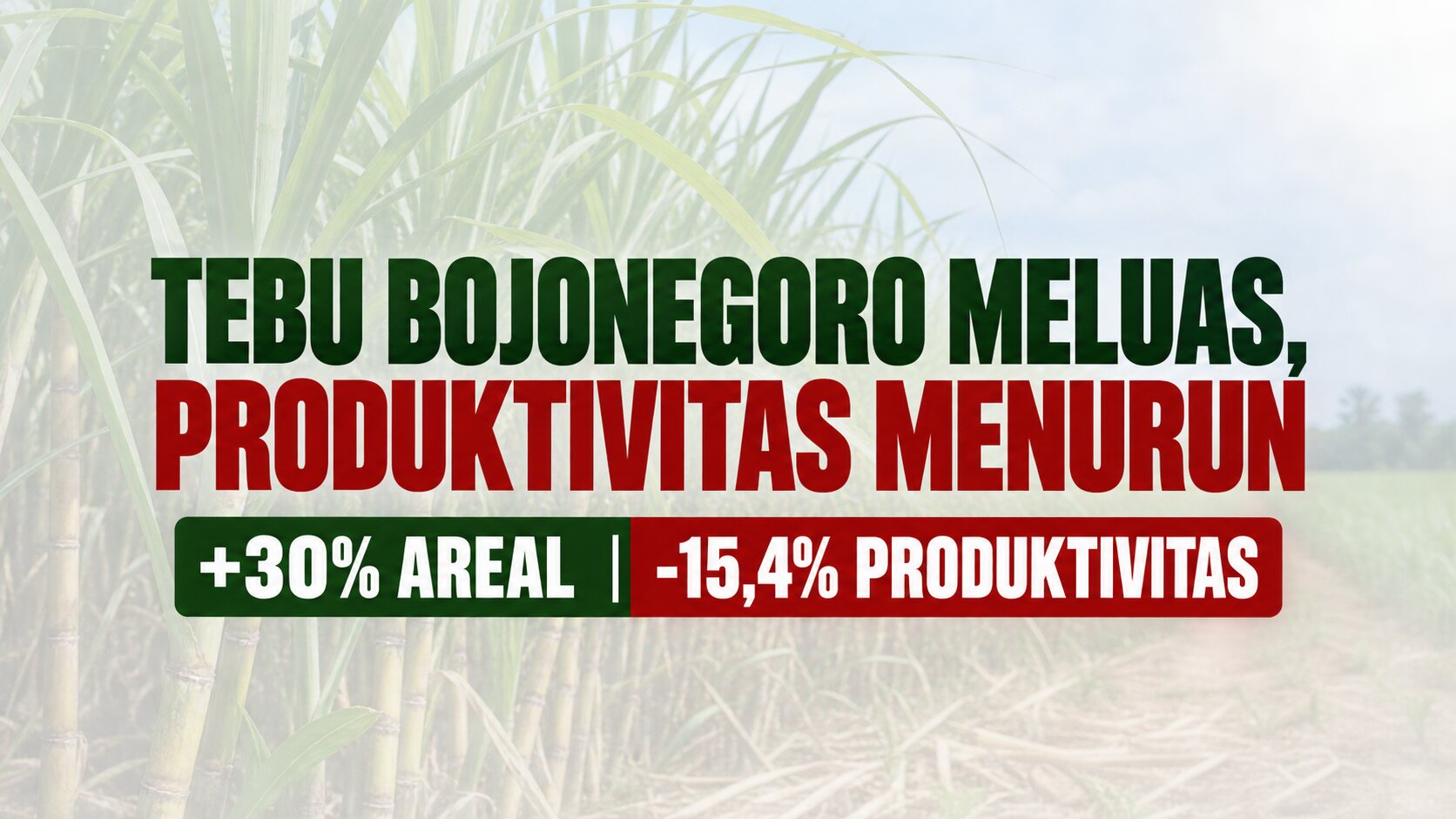 Bukan Sekadar Perluas Lahan, Tantangan Tebu Bojonegoro Ada pada Produktivitas
